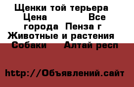 Щенки той терьера › Цена ­ 10 000 - Все города, Пенза г. Животные и растения » Собаки   . Алтай респ.